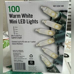 HOME ACCENTS 100 LED WARM WHITE MINI LED Lights on Green Wire 20.5 FT Lenght